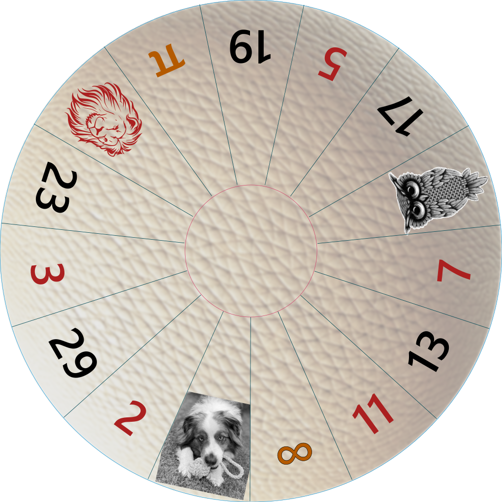 Outer Ring